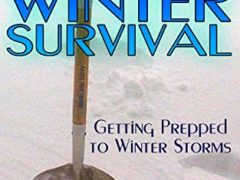 Winter Survival: Getting Prepped to Winter Storms : (How to Survive, Survival Book)